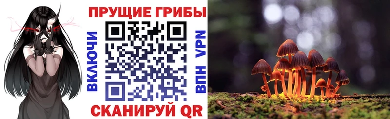 Галлюциногенные грибы Psilocybe  Александровск 