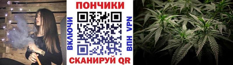 Конопля гибрид  дарнет шоп  блэк спрут ONION  Александровск 